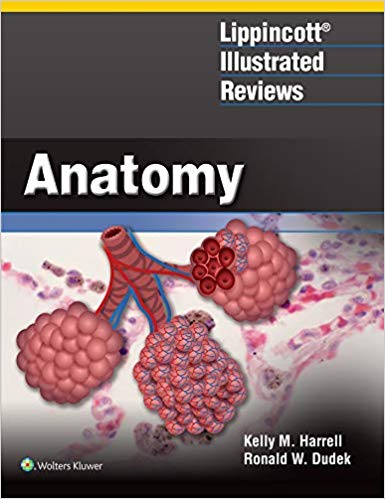 خرید ایبوک Lippincott Illustrated Reviews Anatomy دانلود PDF Original کتاب SBN-10: 1496317904ISBN-13: 978-1496317902 گیگاپیپر